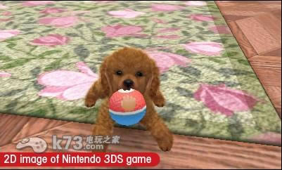 3ds è߹Ȯ»ṩ-è߹Ȯ»