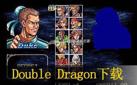 nds Double Dragon򻯰-˫İ