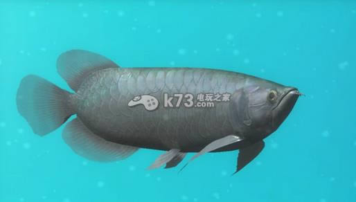 ps3 我的水族馆日版预约(暂未上线)