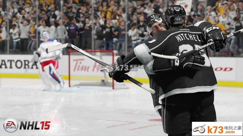 ps3 NHL15(δ)