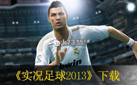 wii ʵ2013