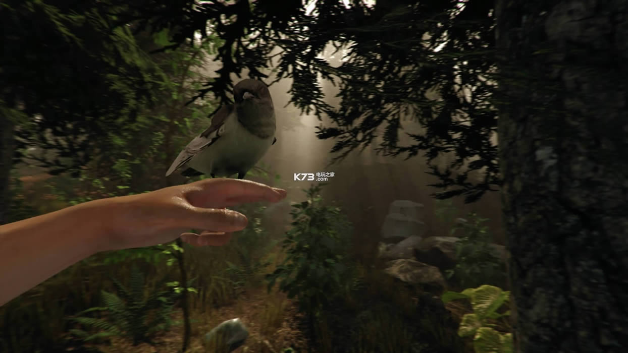 ɭThe Forest°11޸v0.58